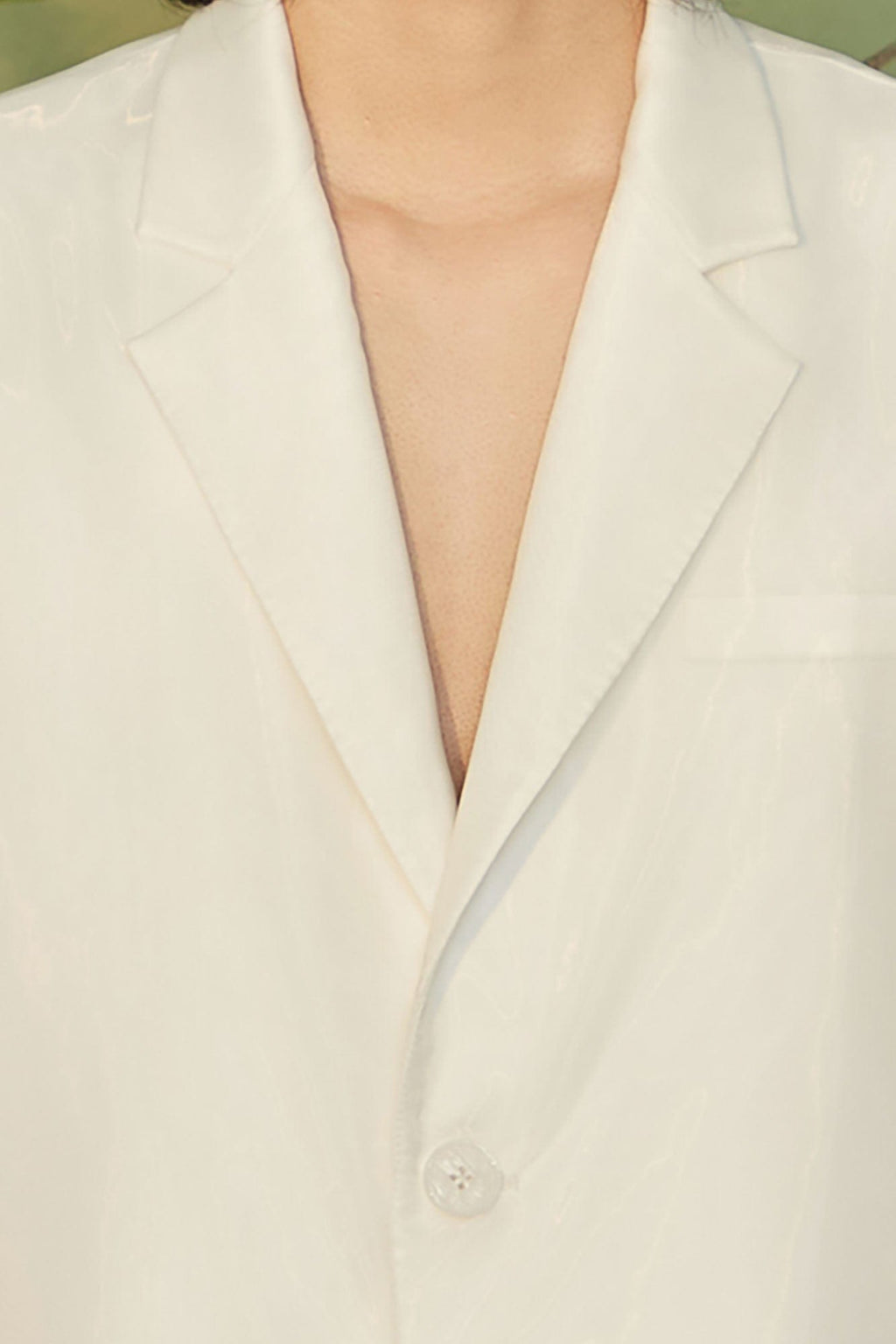 JIECHI Water-Ink Koi Embroidered Sheer Overlay Half Blazer