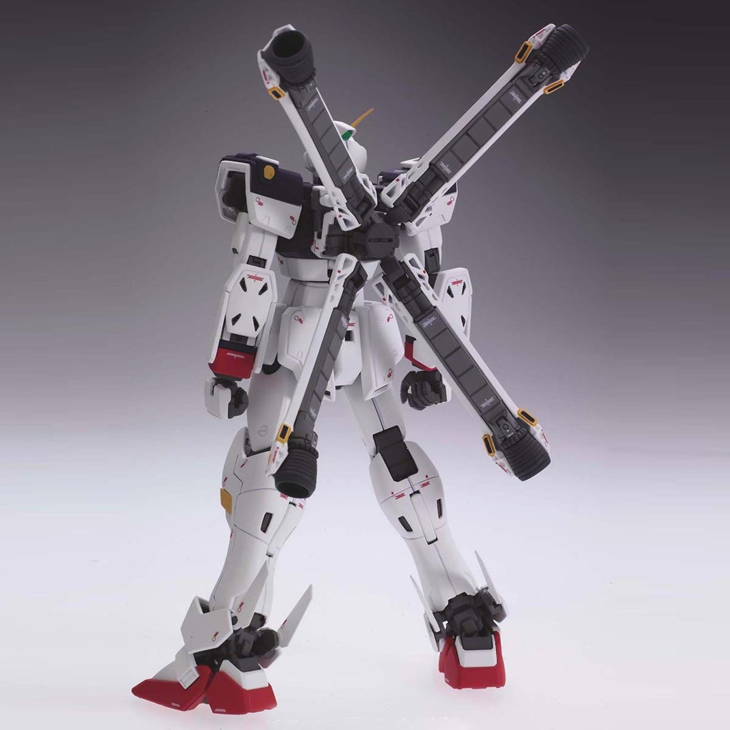 Gundam 1/100 MG Crossbone Gundam X-1 Ver Ka Model Kit