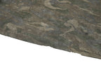 UNDERWATER Distressed Camo Oversized T-Shirt